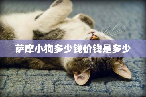 薩摩小狗多少錢價錢是多少