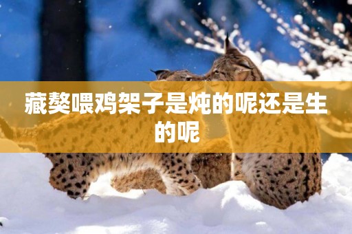 藏獒喂雞架子是燉的呢還是生的呢