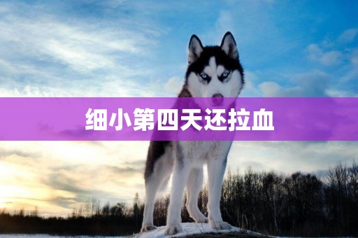細小第四天還拉血