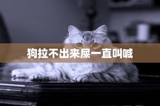 狗拉不出來屎一直叫喊