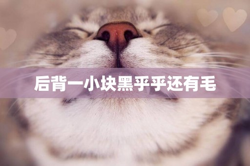 后背一小塊黑乎乎還有毛