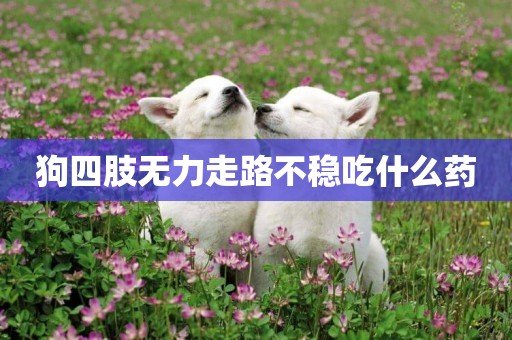 狗四肢無力走路不穩吃什么藥