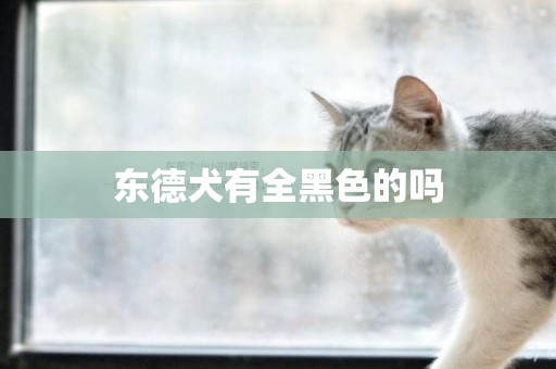 東德犬有全黑色的嗎