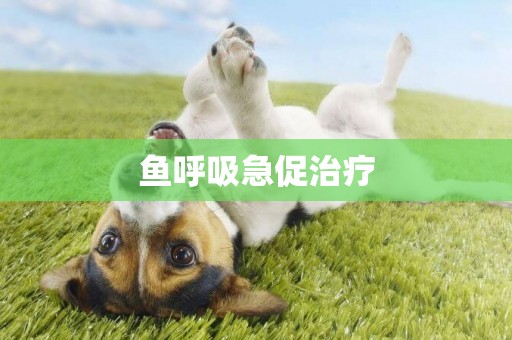 魚呼吸急促治療