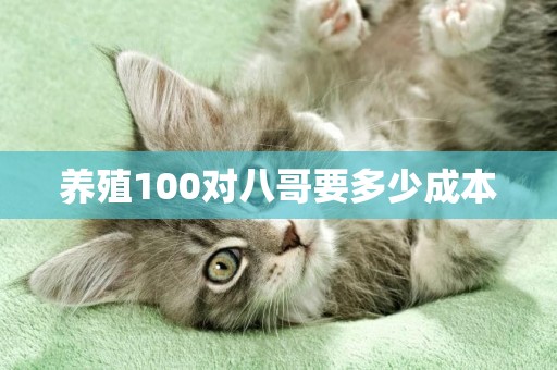養殖100對八哥要多少成本