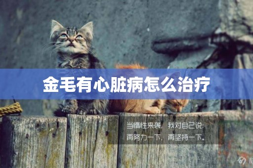 金毛有心臟病怎么治療