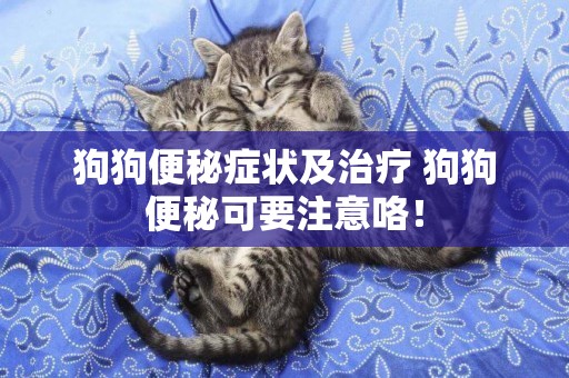 狗狗便秘癥狀及治療 狗狗便秘可要注意咯！