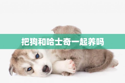 把狗和哈士奇一起養嗎