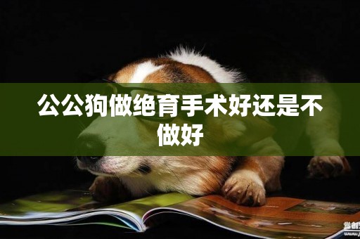 公公狗做絕育手術好還是不做好