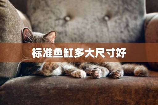 標準魚缸多大尺寸好