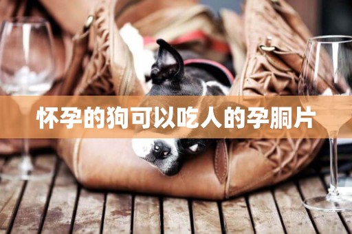懷孕的狗可以吃人的孕胴片