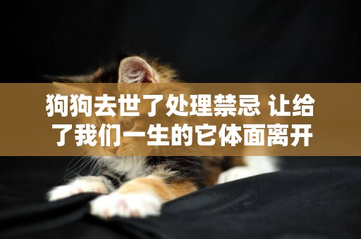 狗狗去世了處理禁忌 讓給了我們一生的它體面離開
