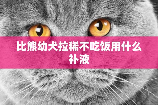 比熊幼犬拉稀不吃飯用什么補液