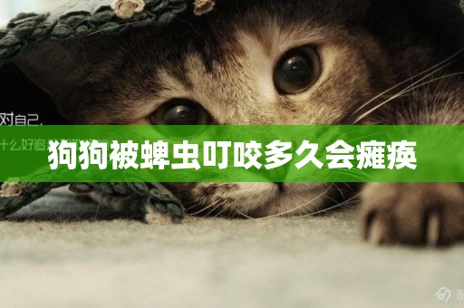 狗狗被蜱蟲叮咬多久會癱瘓