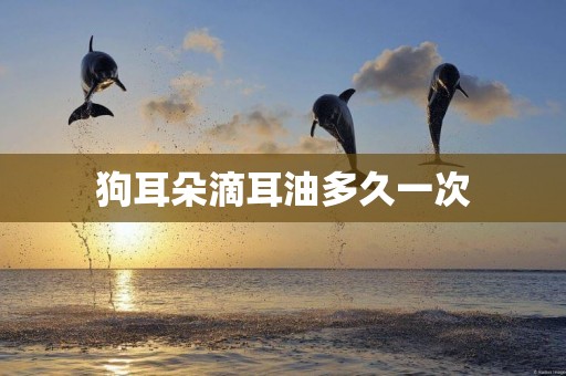 狗耳朵滴耳油多久一次