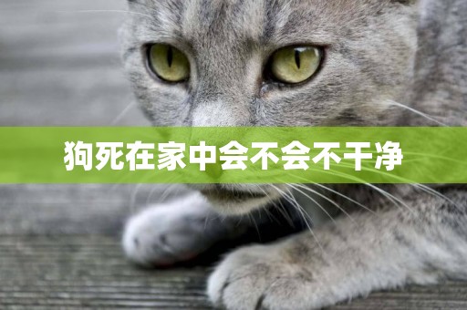 狗死在家中會不會不干凈