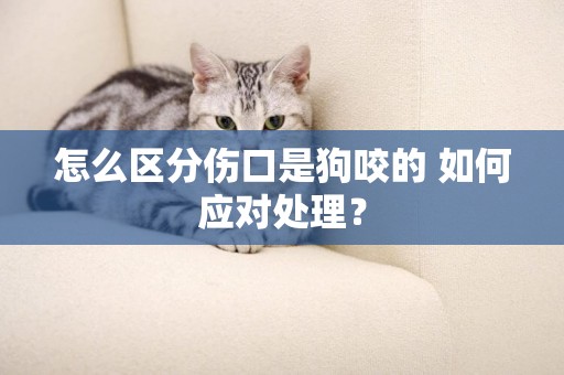 怎么區分傷口是狗咬的 如何應對處理？