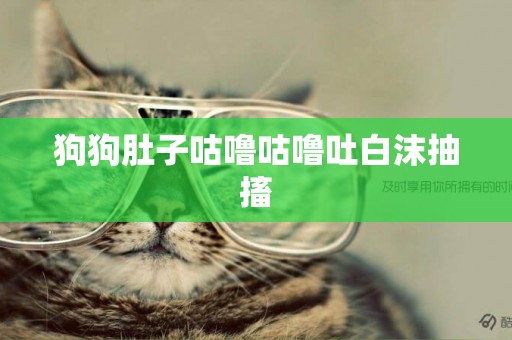 狗狗肚子咕嚕咕嚕吐白沫抽搐