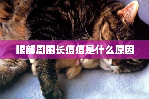 眼部周圍長痘痘是什么原因