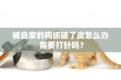 被自家的狗抓破了皮怎么辦 需要打針嗎？