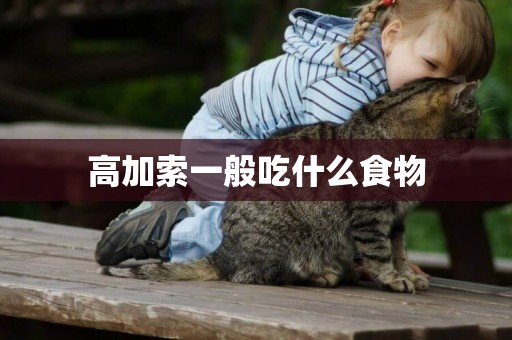 高加索一般吃什么食物