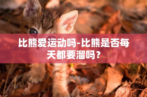 比熊愛運動嗎-比熊是否每天都要溜嗎？