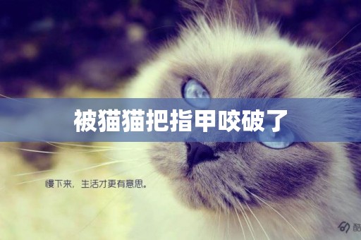 被貓貓把指甲咬破了