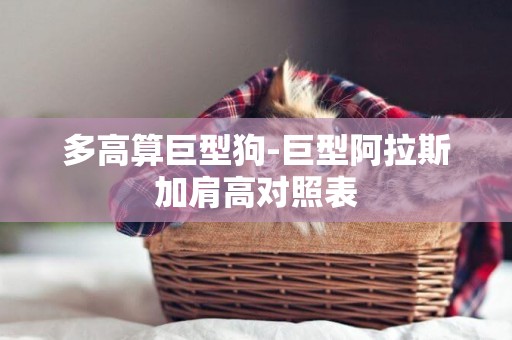 多高算巨型狗-巨型阿拉斯加肩高對照表