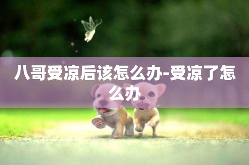 八哥受涼后該怎么辦-受涼了怎么辦