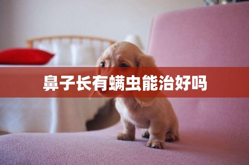 鼻子長有螨蟲能治好嗎