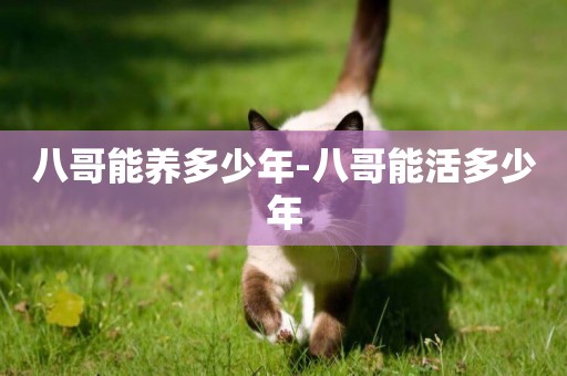 八哥能養多少年-八哥能活多少年