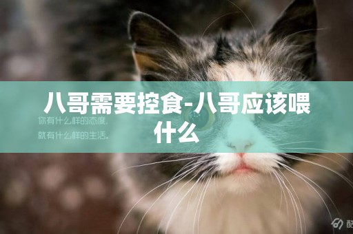 八哥需要控食-八哥應該喂什么