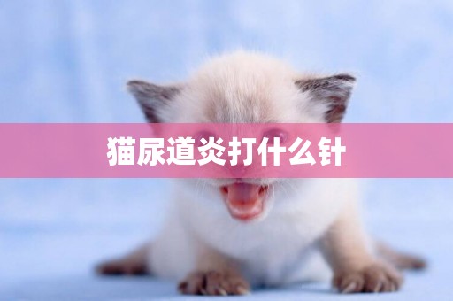 貓尿道炎打什么針