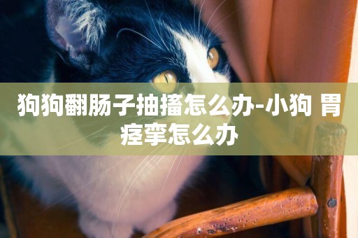 狗狗翻腸子抽搐怎么辦-小狗 胃痙攣怎么辦