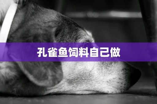 孔雀魚飼料自己做