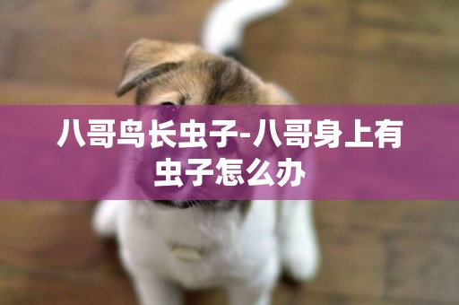 八哥鳥長蟲子-八哥身上有蟲子怎么辦