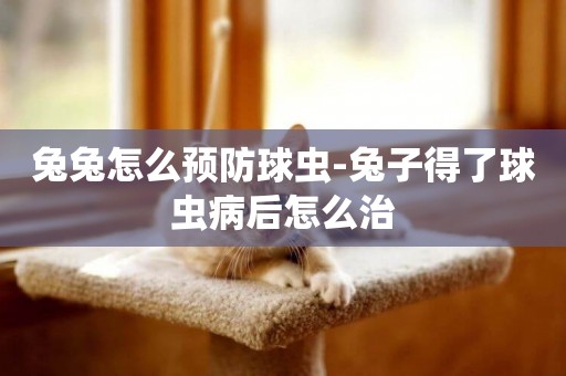 兔兔怎么預防球蟲-兔子得了球蟲病后怎么治