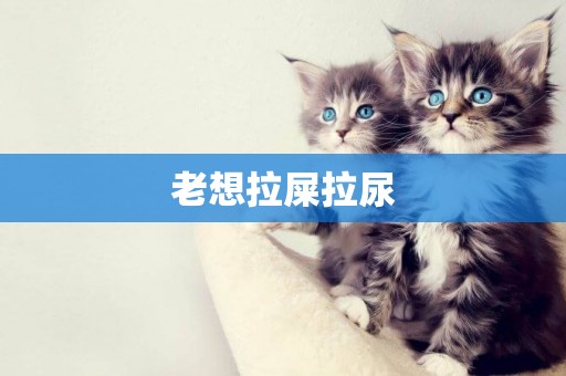 老想拉屎拉尿