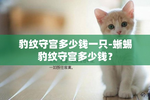 豹紋守宮多少錢一只-蜥蜴豹紋守宮多少錢？