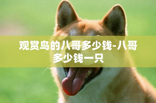 觀賞鳥的八哥多少錢-八哥多少錢一只