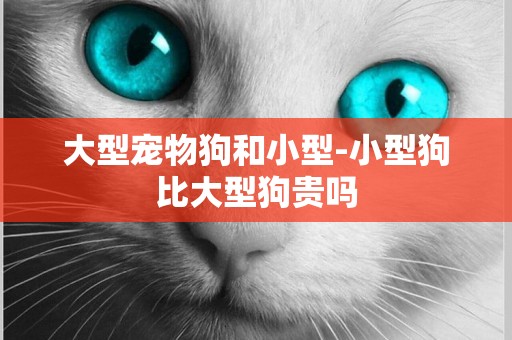 大型寵物狗和小型-小型狗比大型狗貴嗎