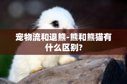 寵物流和退熊-熊和熊貓有什么區別?