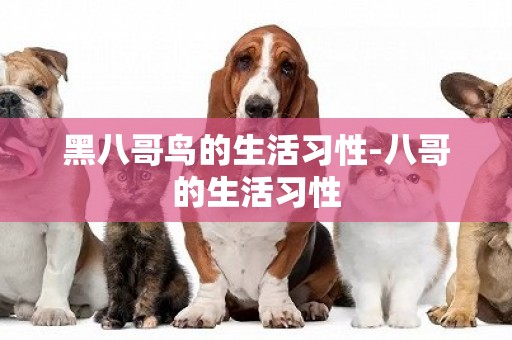 黑八哥鳥的生活習性-八哥的生活習性