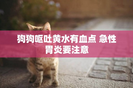 狗狗嘔吐黃水有血點 急性胃炎要注意