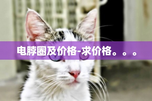 電脖圈及價格-求價格。。。