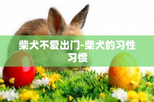 柴犬不愛出門-柴犬的習性習慣