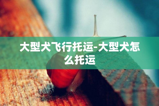 大型犬飛行托運-大型犬怎么托運