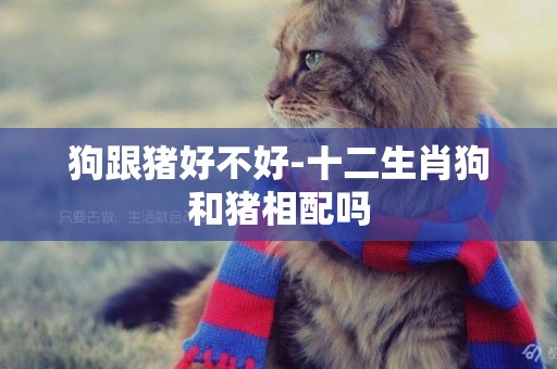 狗跟豬好不好-十二生肖狗和豬相配嗎