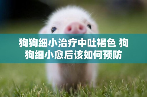 狗狗細小治療中吐褐色 狗狗細小愈后該如何預防