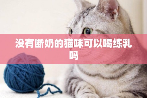 沒有斷奶的貓咪可以喝練乳嗎
